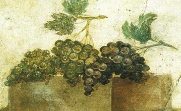 I vini dell'antica Grecia